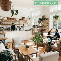 #2750 フェイクパキラ100cm白