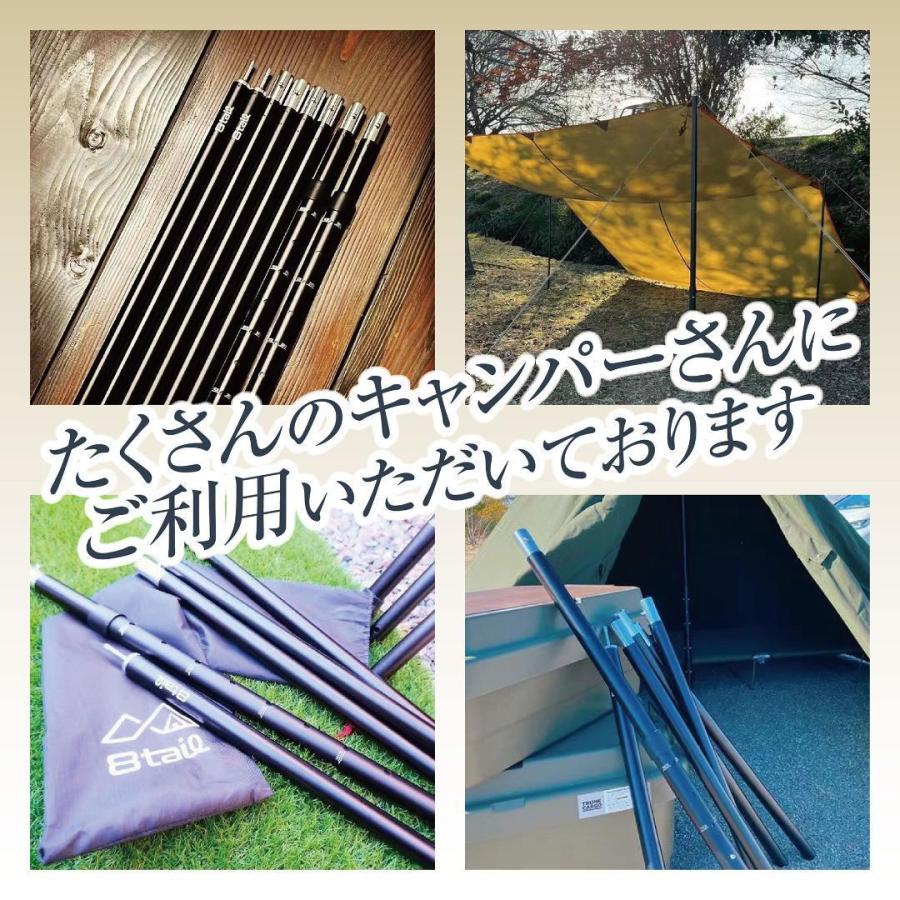 #1146 ソコノアジャストポール2セット