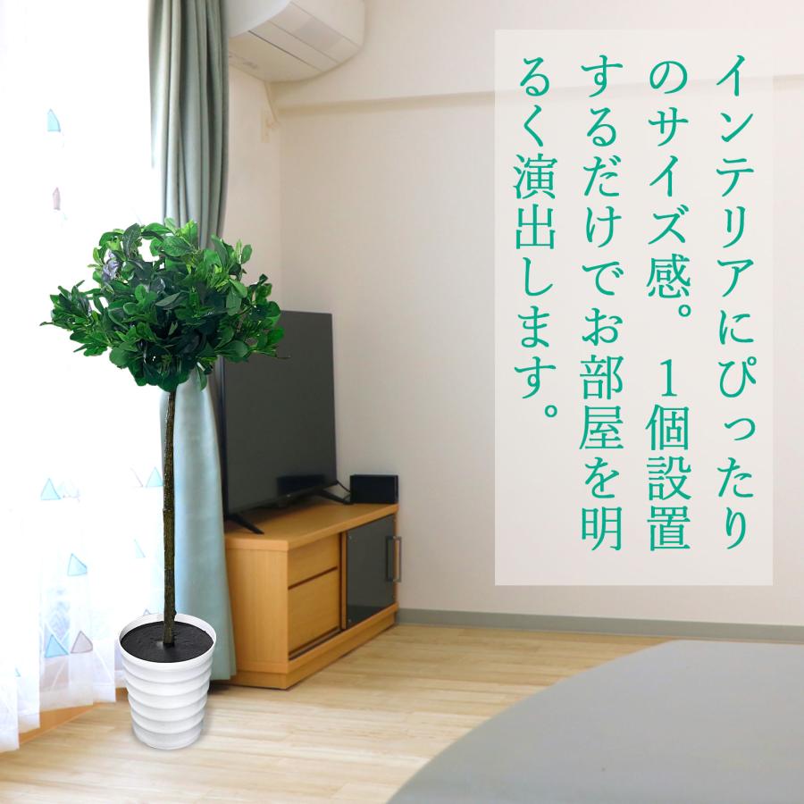 #1355 トピアリーボール, 120cm