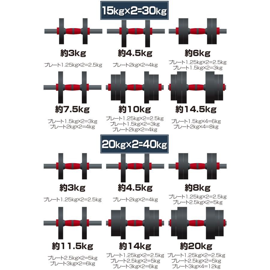 #2509 ダンベル高性能10kg