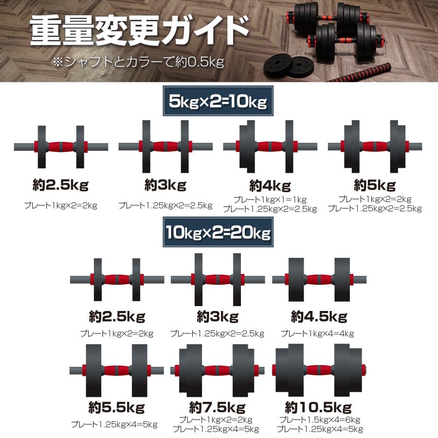 #2509 ダンベル高性能10kg
