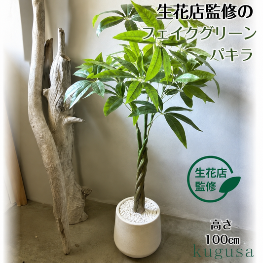 #2750 フェイクパキラ100cm白