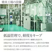 #3085 千葉県産こしひかり精米５ｋｇ
