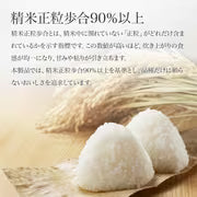 #3085 千葉県産こしひかり精米５ｋｇ