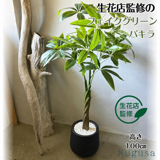 #2751 フェイクパキラ100cm黒
