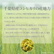 #3085 千葉県産こしひかり精米５ｋｇ