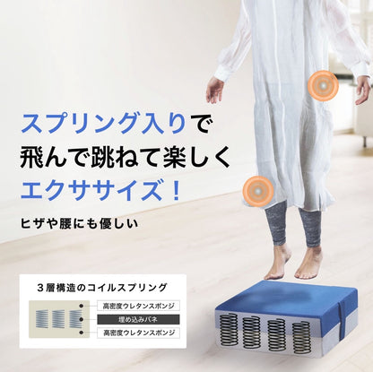 #2669 トランポリンクッション