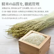 #3085 千葉県産こしひかり精米５ｋｇ