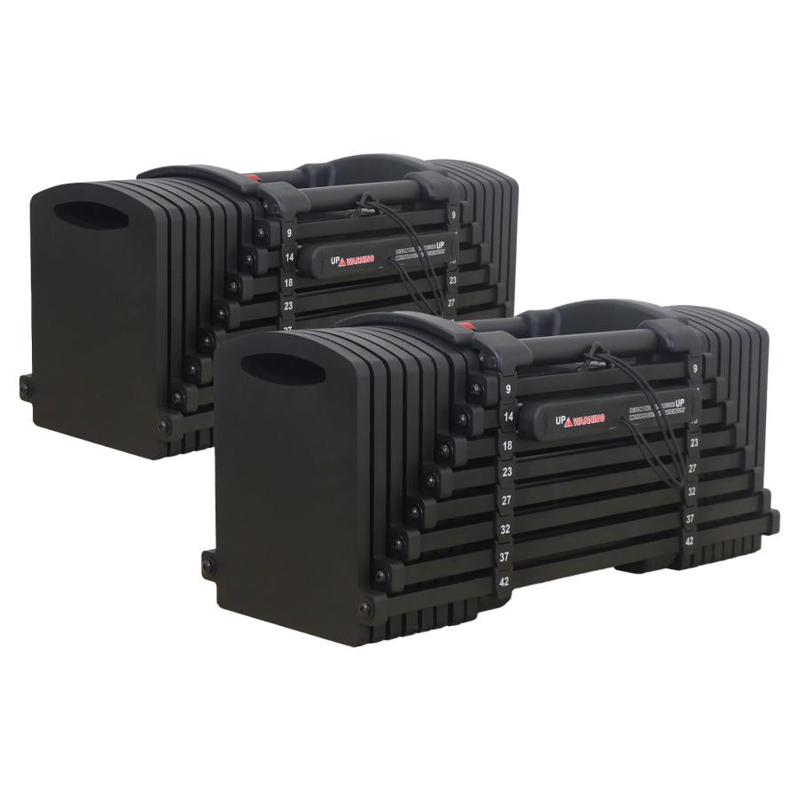 #2825 ブロックダンベルAB42x2   オールブラック　42kg　2個セット