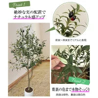 #2752 フェイクオリーブ120cm