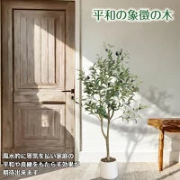 #2752 フェイクオリーブ120cm