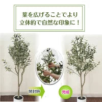 #2752 フェイクオリーブ120cm
