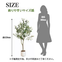 #2752 フェイクオリーブ120cm