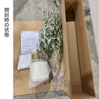 #2752 フェイクオリーブ120cm