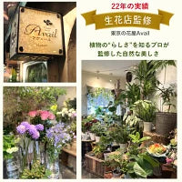 #2752 フェイクオリーブ120cm