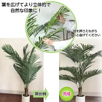 #3079　フェイクヤシ120cm
