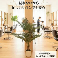 #3079　フェイクヤシ120cm