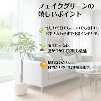 #2750 フェイクパキラ100cm白