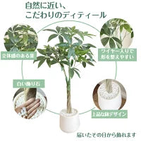 #2750 フェイクパキラ100cm白