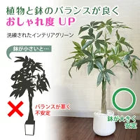 #2750 フェイクパキラ100cm白