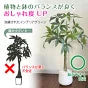 #2751 フェイクパキラ100cm黒