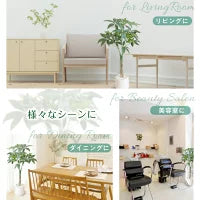 #2750 フェイクパキラ100cm白