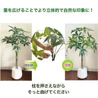 #2750 フェイクパキラ100cm白