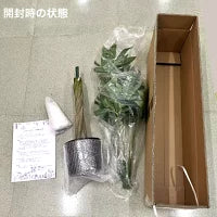 #2750 フェイクパキラ100cm白