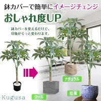 #2750 フェイクパキラ100cm白