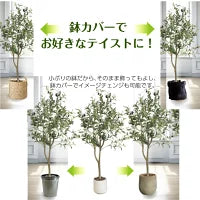 #2752 フェイクオリーブ120cm