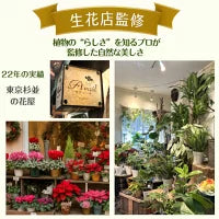 #3081　フェイクヤシ150cm