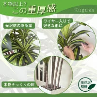 #3080　フェイクドラセナ150cm