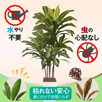 #3080　フェイクドラセナ150cm