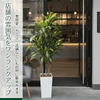 #3080　フェイクドラセナ150cm