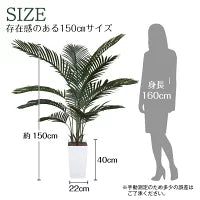 #3081　フェイクヤシ150cm