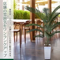 #3081　フェイクヤシ150cm