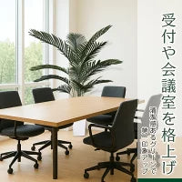 #3081　フェイクヤシ150cm