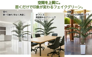 #3081　フェイクヤシ150cm