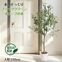 #2752 フェイクオリーブ120cm