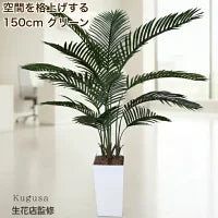 #3081　フェイクヤシ150cm