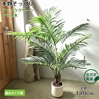 #3079　フェイクヤシ120cm