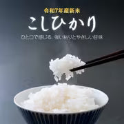 #3085 千葉県産こしひかり精米５ｋｇ
