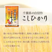 #3085 千葉県産こしひかり精米５ｋｇ
