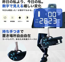 #2919　ローリングステッパー黒