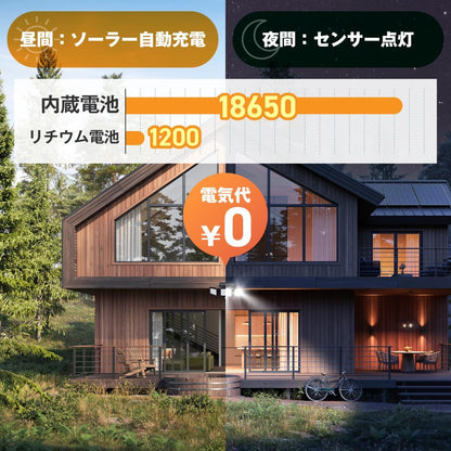 #2953 屋外ソーラーライト（小型）
