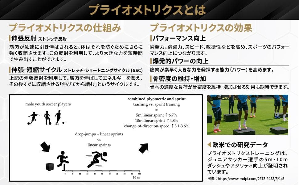 #2949 プライオボックス３段