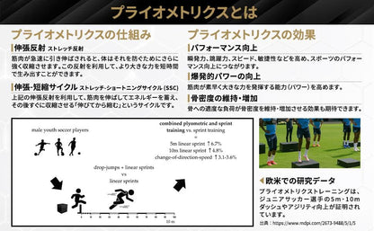 #2949 プライオボックス３段