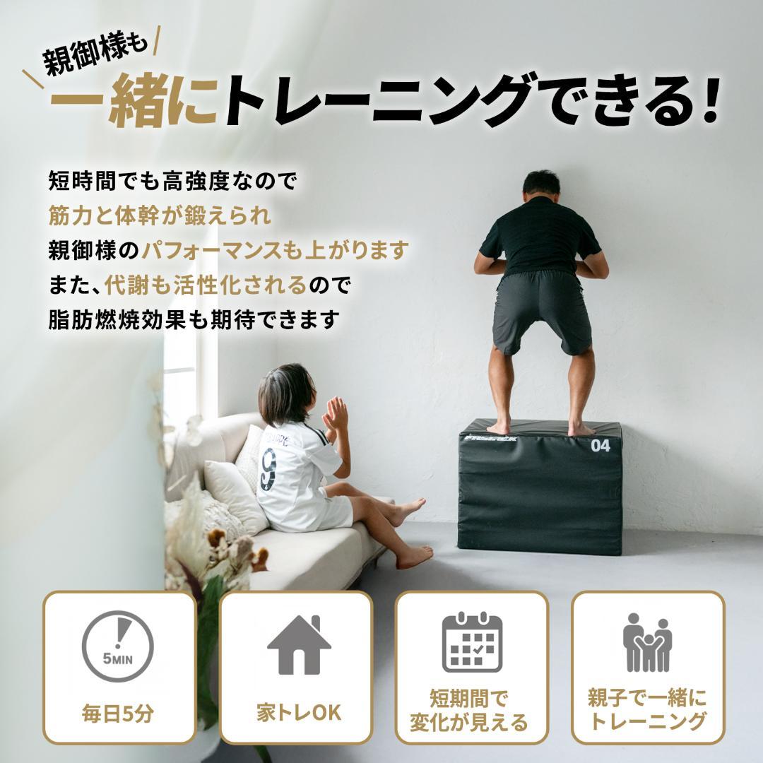 #2949 プライオボックス３段