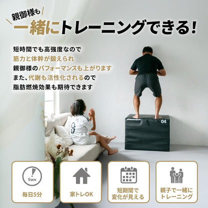 #2949 プライオボックス３段