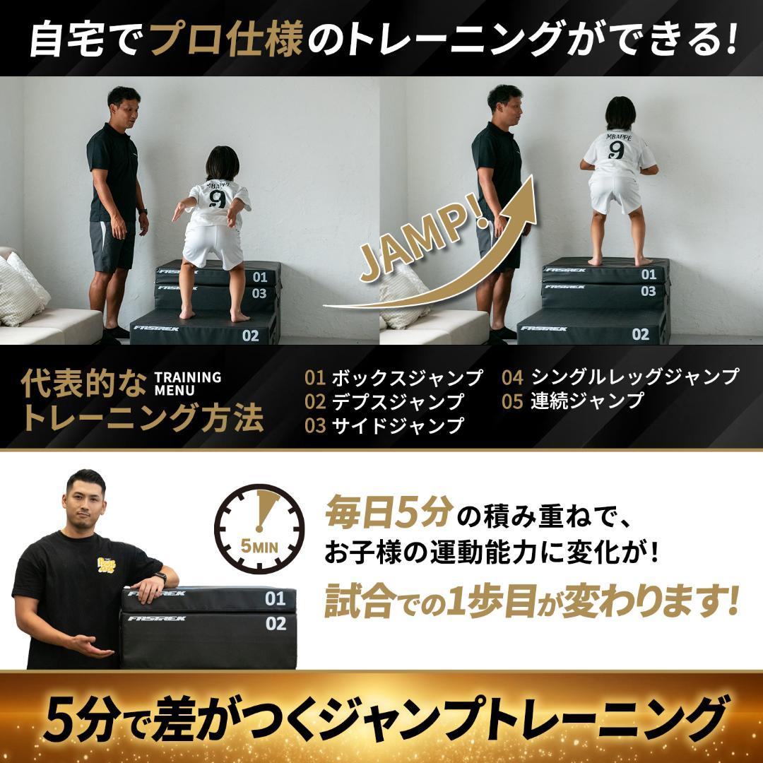 #2950 プライオボックス　4段